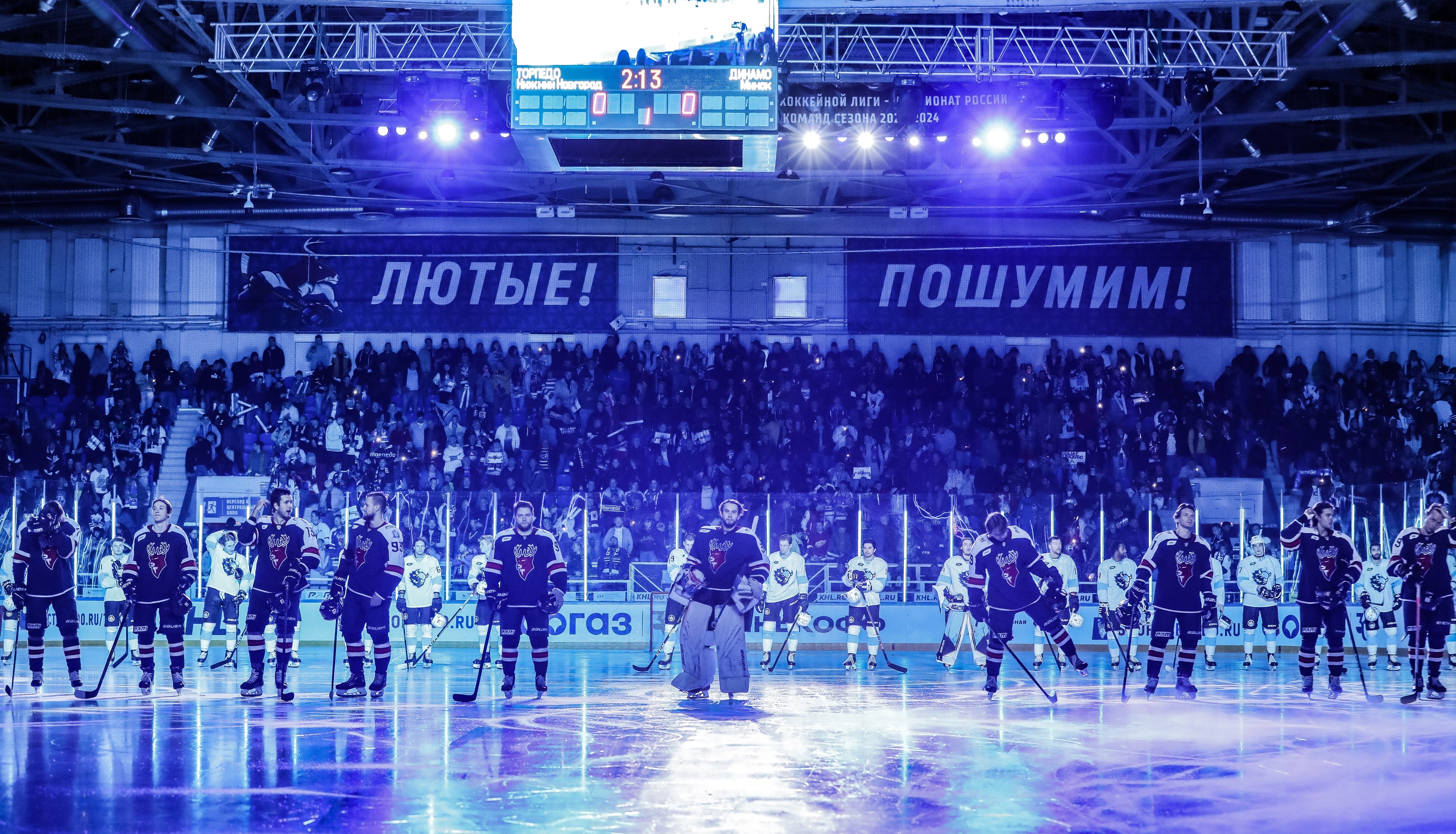 Кузнецкие Медведи - Чайка / 2025-12-22