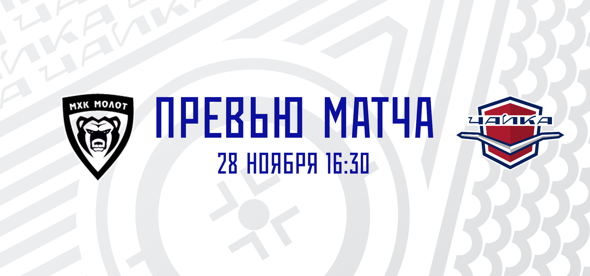 «МХК Молот» — «Чайка»