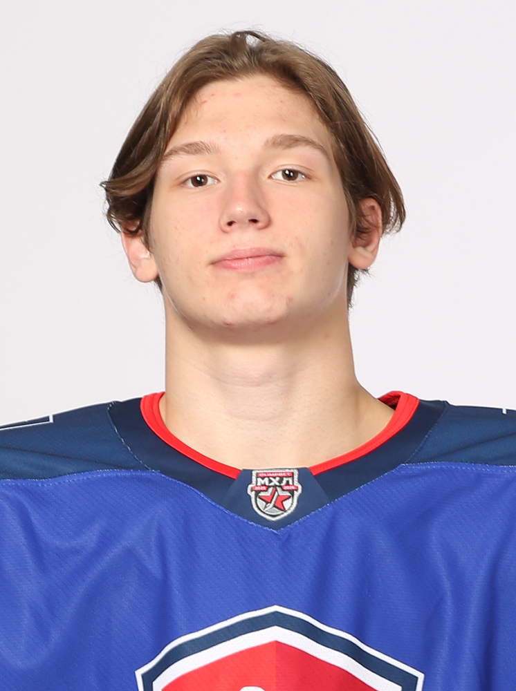 Владислав Мишин