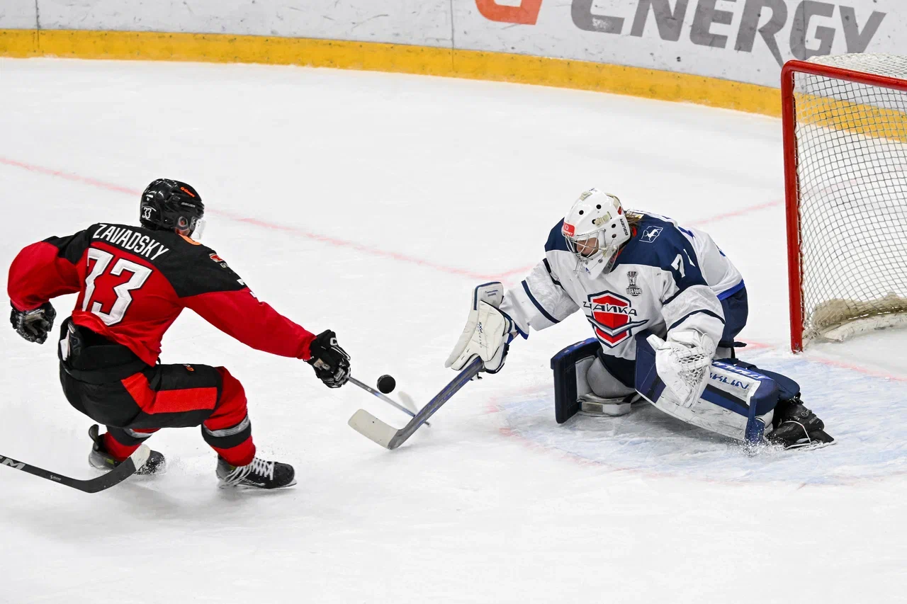 «Чайка» одержала победу над «Омскими Ястребами»